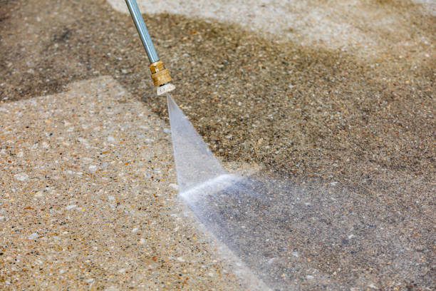 Best Gutter Cleaning  in Tangelo Park, FL