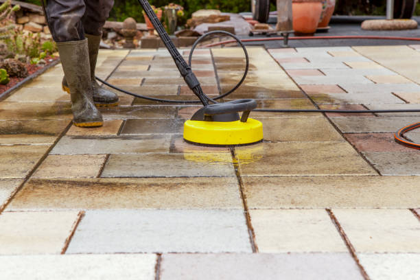 Best Animal Enclosure Cleaning  in Tangelo Park, FL